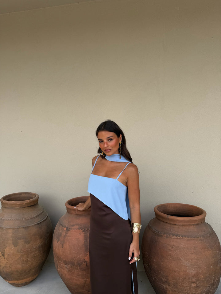 Fuzeta Dress in Brown and Blue