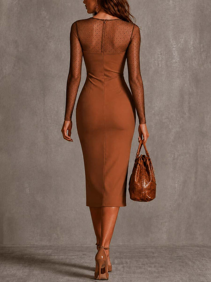 Vintage Floral Polka Dot Mesh Long Sleeve Midi Bodycon Dress