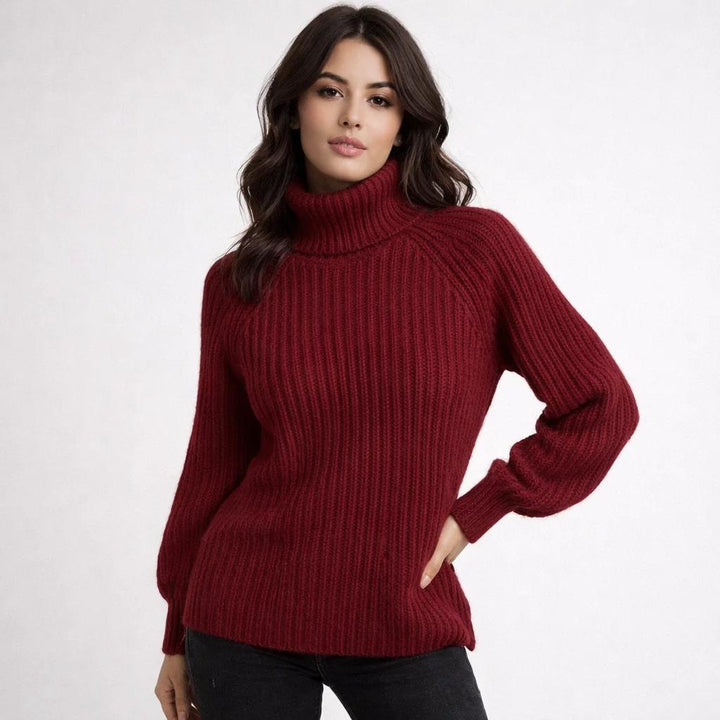 Cozy Wool Blend Roll Neck Sweater