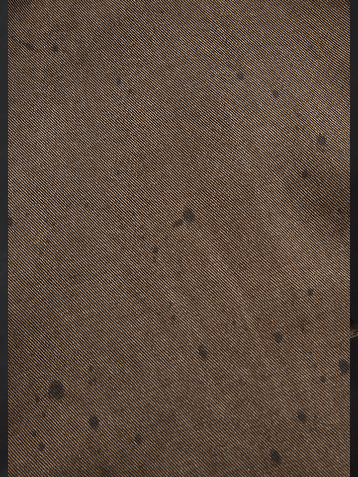 Vintage Washed Taupe Western Slim Fit Button-Up Shirt