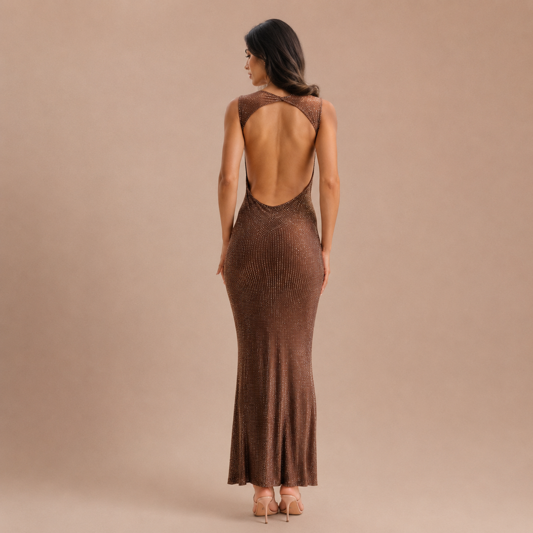Jasmyn - Maxi Chocolate Dress with Crystal Sheerness
