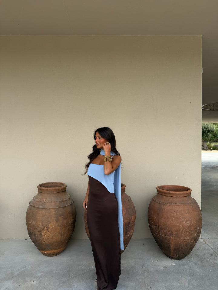 Fuzeta Dress in Brown and Blue