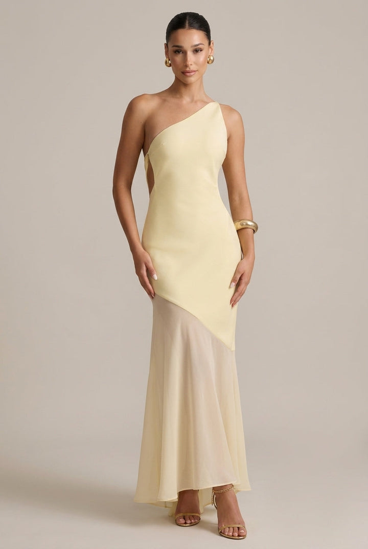 Bohdanka | One-Shoulder Maxi Dress with Open Back